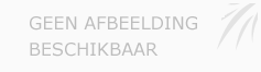 Afbeelding › Classic-design