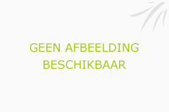 Afbeelding › Ecokurk